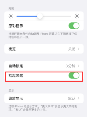 鹤壁苹果授权维修站分享iPhone轻点无法唤醒怎么办