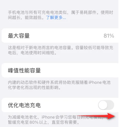 鹤壁苹果15维修分享iPhone15充电到80%就充不进电了怎么办 