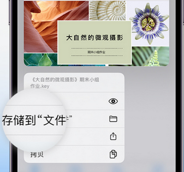 鹤壁apple维修中心分享iPhone文件应用中存储和找到下载文件