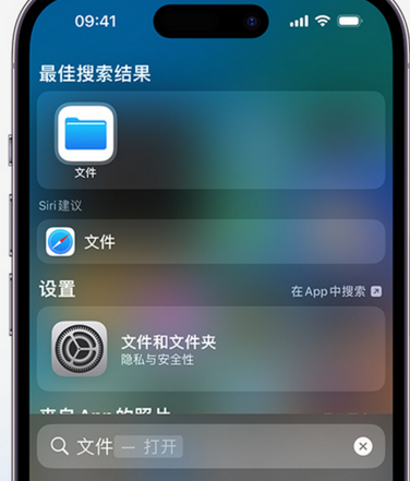 鹤壁apple维修中心分享iPhone文件应用中存储和找到下载文件