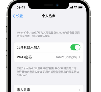 鹤壁apple服务站点分享iPhone上个人热点丢失了怎么办 