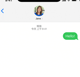 鹤壁apple维修iPhone上无法正常发送iMessage信息