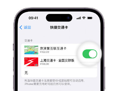 鹤壁apple维修点分享iPhone上更换Apple Pay快捷交通卡手绘卡面 