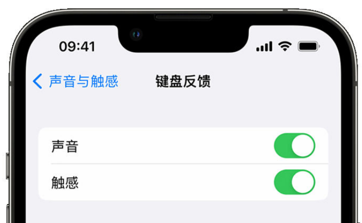 鹤壁苹果手机维修分享iPhone 14触感键盘使用方法 