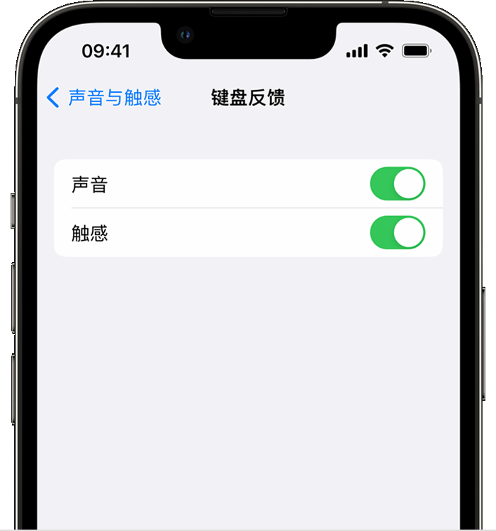 鹤壁苹果14维修店分享如何在 iPhone 14 机型中使用触感键盘 