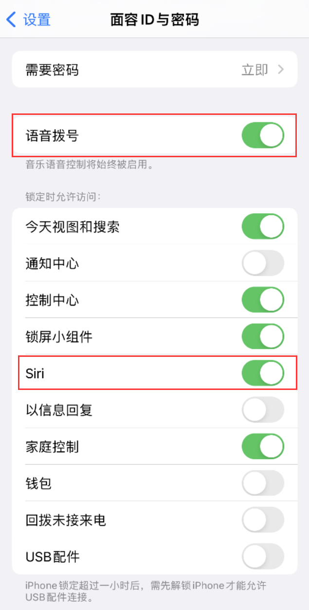 鹤壁苹果维修网点分享不解锁 iPhone 的情况下通过 Siri 拨打电话的方法 