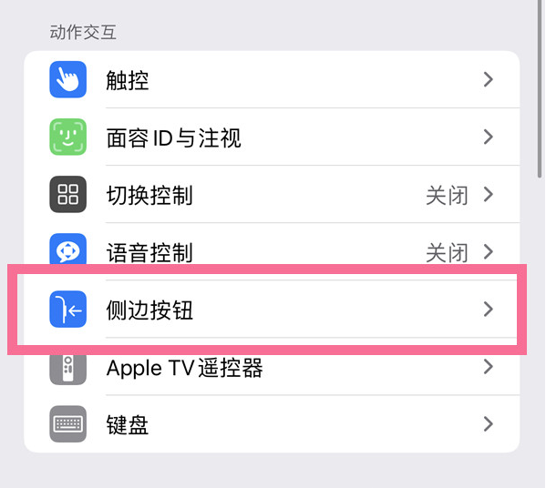 鹤壁苹果14维修店分享iPhone14 Plus侧键双击下载功能关闭方法 