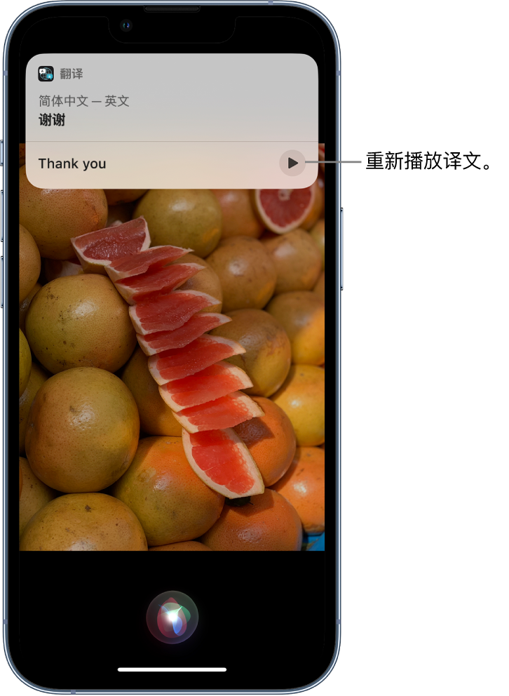 鹤壁苹果14维修分享 iPhone 14 机型中使用 Siri：了解 Siri 能帮你做什么 