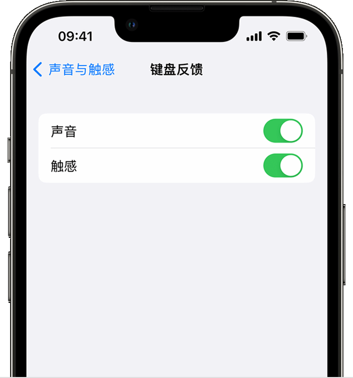 鹤壁苹果14维修分享iPhone 14 系列机型如何开启键盘声音或触感反馈 