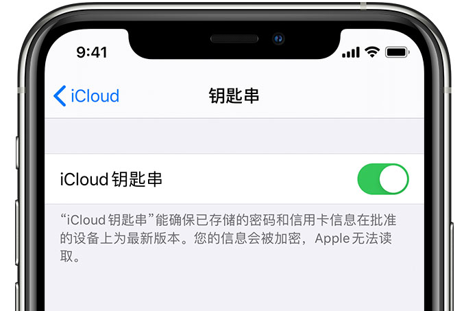鹤壁苹果手机维修分享在 iPhone 上开启 iCloud 钥匙串之后会储存哪些信息 