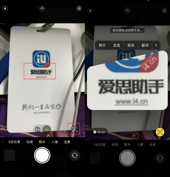 鹤壁苹果手机维修分享升级iOS 16后如何通过相机翻译文本 