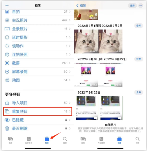 鹤壁苹果手机维修分享iOS 16 中相册重复项目功能使用方法 