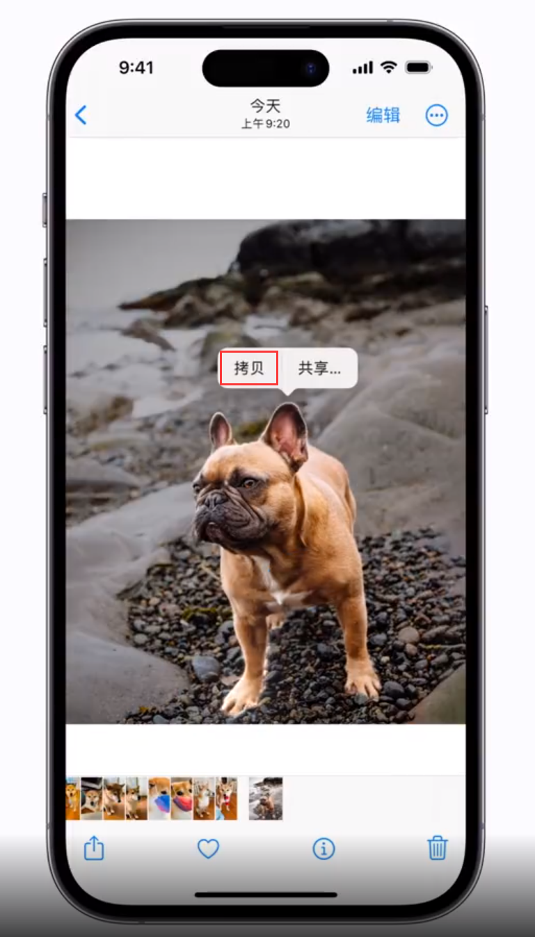 鹤壁苹果手机维修分享 iOS 16 自带一键抠图功能 
