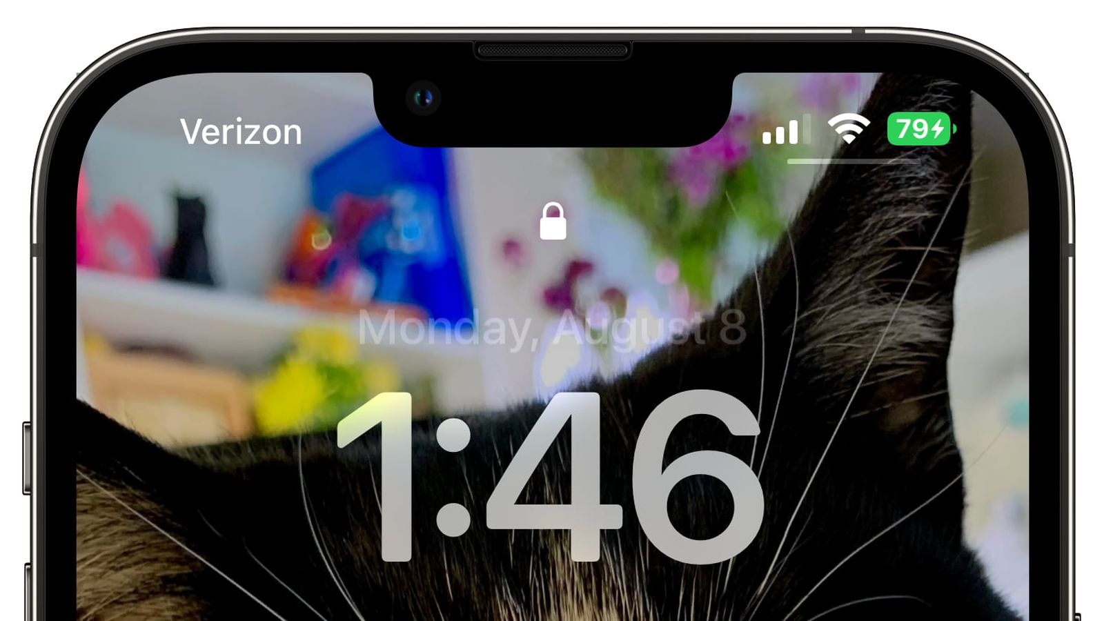 鹤壁苹果手机维修分享iOS 16 beta 5 支持状态栏显示电池百分比，如何开启？支持哪些机型 