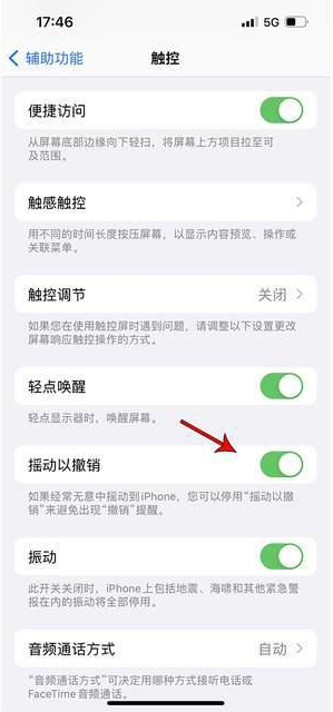 鹤壁苹果手机维修分享iPhone手机如何设置摇一摇删除文字 