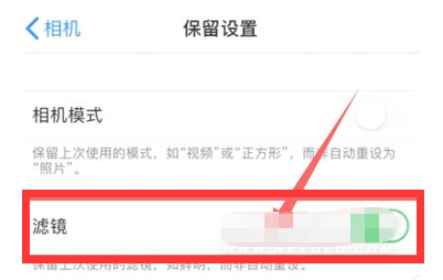 鹤壁苹果13维修分享iPhone13拍照有绿点是怎么回事 