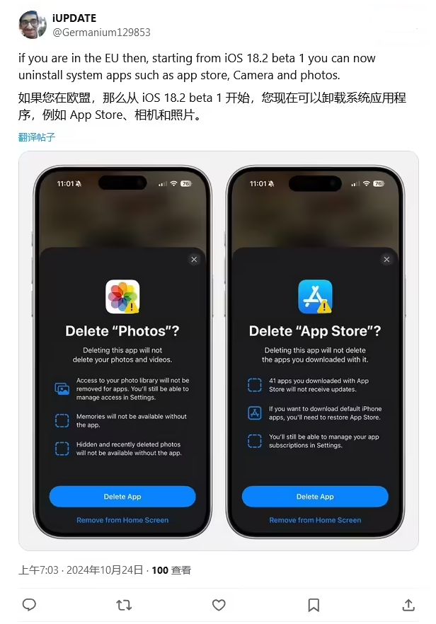 鹤壁苹果手机维修分享iOS 18.2 支持删除 App Store 应用商店 