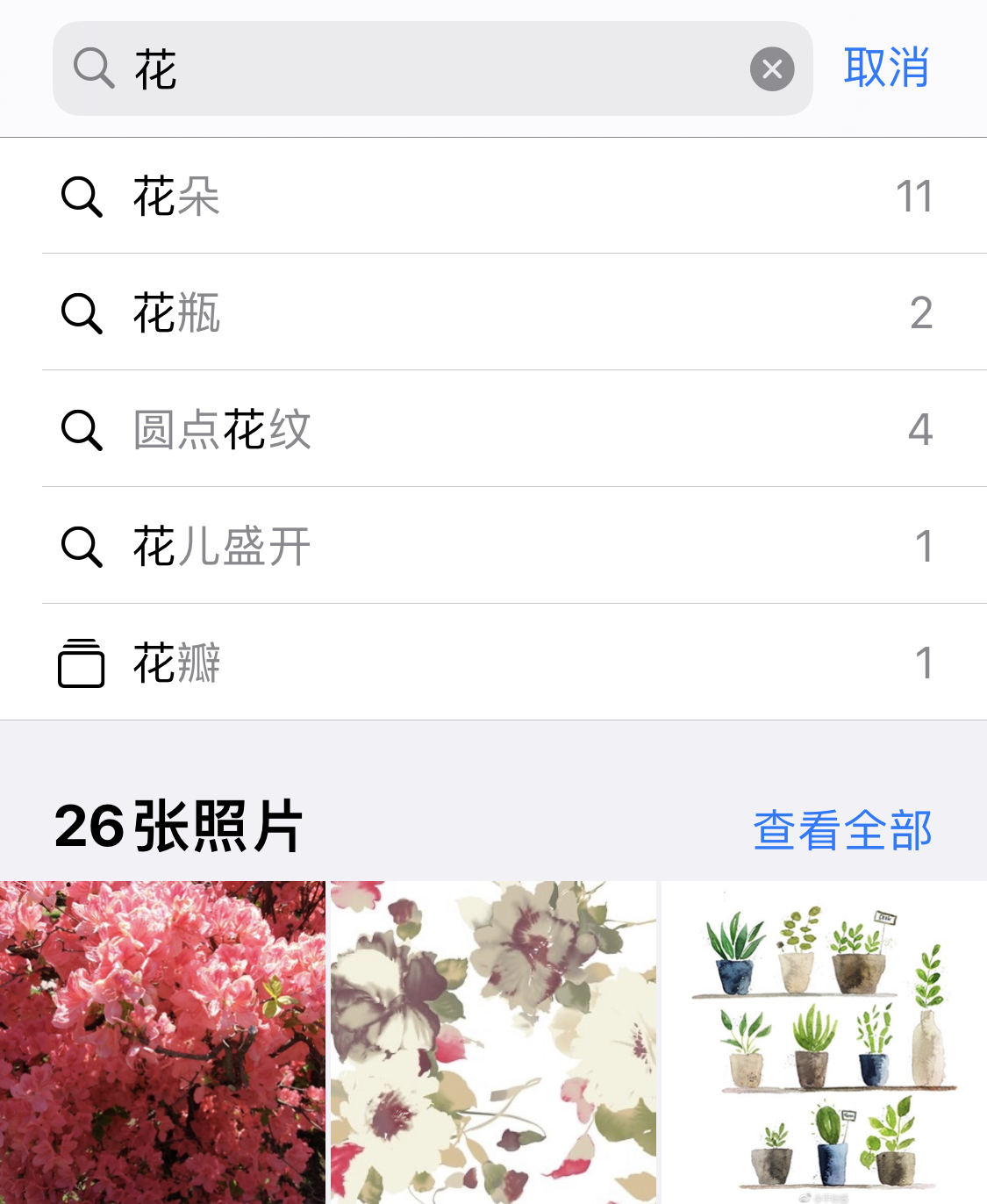 鹤壁苹果手机维修分享iPhone 小技巧 