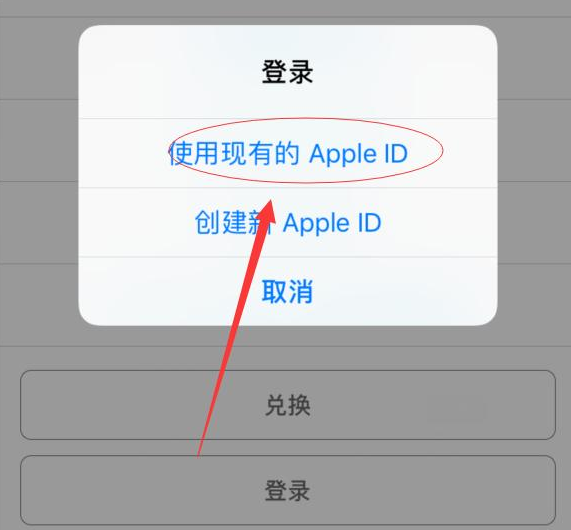鹤壁苹果手机维修分享两台iPhone设备可以同时登录一个Apple ID吗 