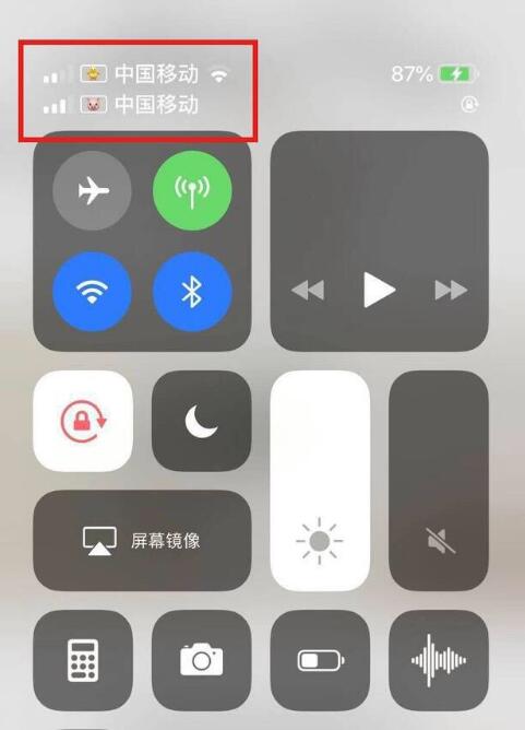 鹤壁苹果手机维修分享为 iPhone 12 双卡设置标签 