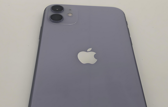 鹤壁苹果11系统维修分享iPhone11手机系统崩溃无法开机如何解决